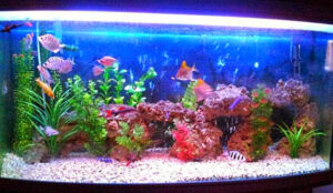 תמונות ממרפאת השיניים - ד''ר גיא וולפין (38)